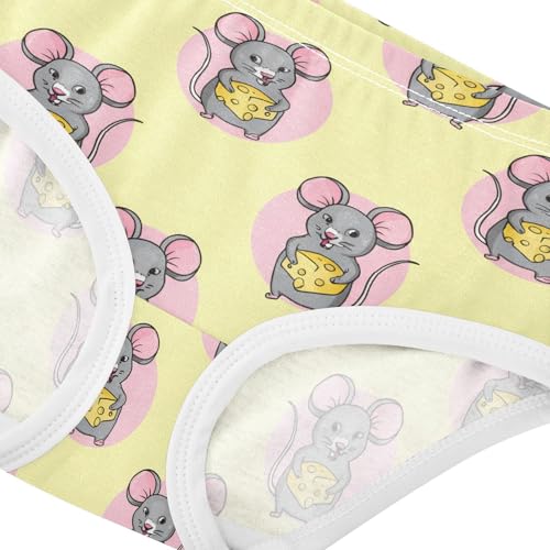 Cute Gray Mice Cheese Toddler Girls's Underwear 2T 202c18034