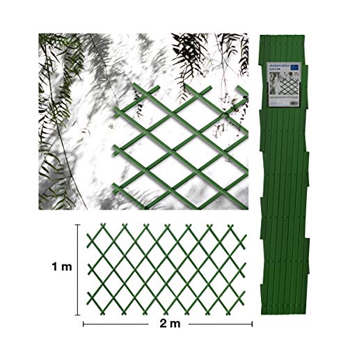 Comercial Candela Celosia Extensible Plastica Color (1x2 Metros, Verde)