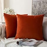 MIULEE Pack of 2 Burnt Orange Pillow Covers 18x18 Inch Soft Velvet Fall Throw Pillow Covers Set Decorative Couch Throw Pillows Square Cushion Covers Pillowcases for Sofa Bedroom