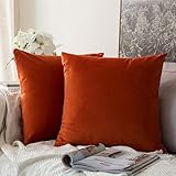 MIULEE Fall Pack of 2 Burnt Orange Velvet Throw Pillow Covers 16x16 Inch Soft Solid Decorative Square Set Cushion Case for Couch Sofa Bedroom