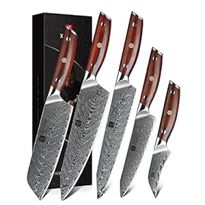 XINZUO 5-Piece Damascus Kitchen Knife Set, 67 Layer High Carbon Stainless Steel Forged Blade,Professional Chef Knife Set with Gift Box,Razor Sharp,Rosewood Handle – Yi Series