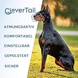 CleverTail Metall-Maulkorb für Dobermänner – Körbchen-Maulkorb gegen Bellen und Beißen – Stahl-Draht-Maulkorb für mittelgroße und große Hunde wie Dobermann, Collie, Malinois, Husky