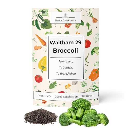 Waltham 29 Broccoli Seeds for Planting - Over 1,400 Heirloom Broccoli Seed for Sprouting - Non-GMO Vegetable Plants Indoor or Outdoor Gardens & Hydroponics Sprouts Gardening | Woods Creek Seeds