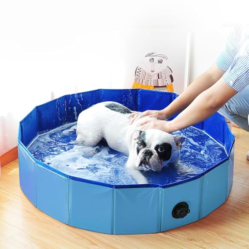 Hundeplanschbecken, 80x20 cm Hundepool Haustier Schwimmbecken, Faltbarer Haustier Schwimmbecken für Kleine Hunde rutschfest Tragbar Hunde Pool für Kleine Katze (Blau)