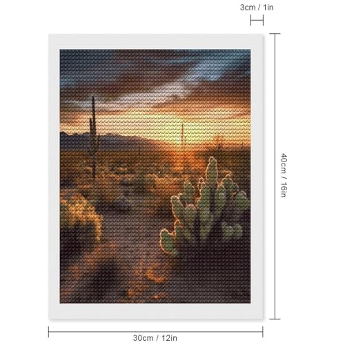 Kits de arte de diamantes FekiLoot de cactus y desierto para adultos principiantes 2