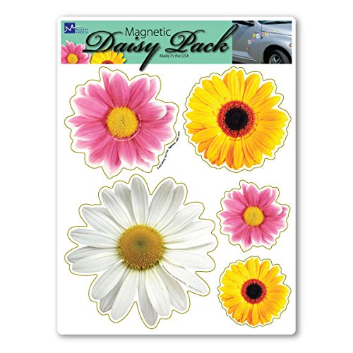 Daisy Flower Pack Magnet by Magnet America Is 8