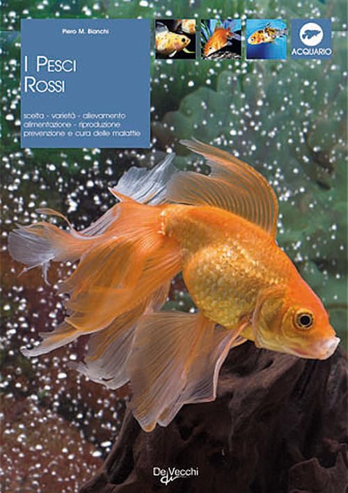 I pesci ross