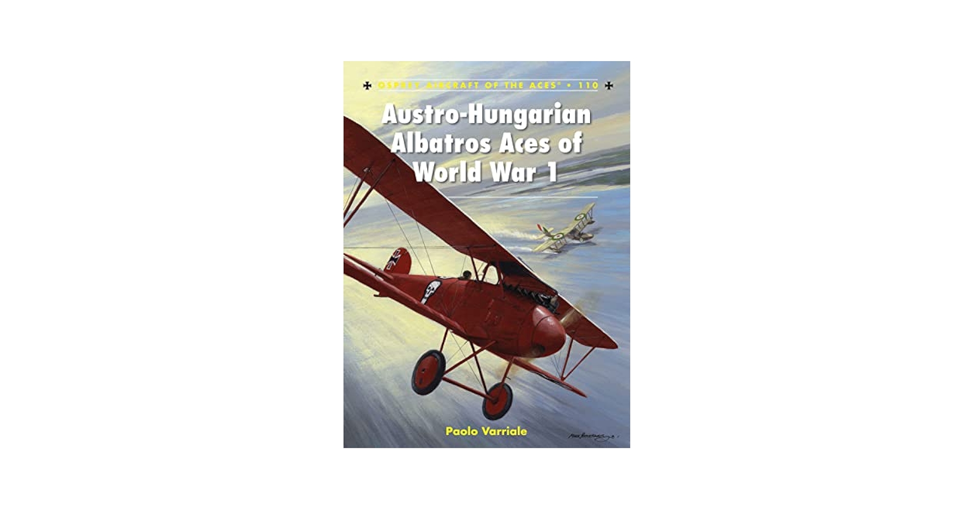 Austro-Hungarian Albatros Aces of World War 1 (Aircraft of