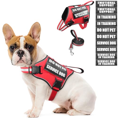 MOOGROU Service Dog Vest Harness and Leash Set+10 Patches No Pull&Adjustable Reflective Dog Harness with Soft Padded Handle for Training/Everyday Fit Small/Medium/Large/Extra-Large Dogs (Red S)