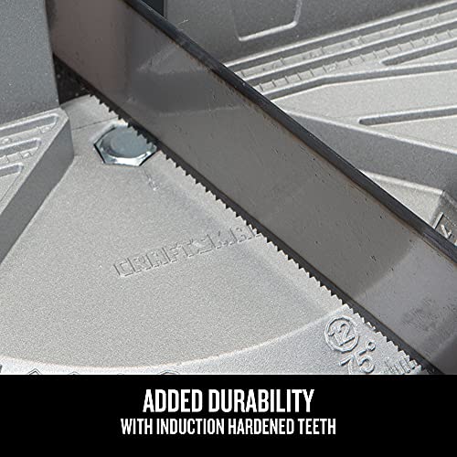 CRAFTSMAN Mitre Saw, Adjustable Angle (CMHT20800) UPhoto