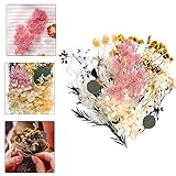 Natürliche Getrocknete Blumen,Trockenblumen Set,Blumen Natürliche Gemischte,Trockenblumen Resin,Kunst Trockenblumen, Trockenblumen Set,Gemischte Getrocknete Blumen,Handwerk getrocknete Blumen