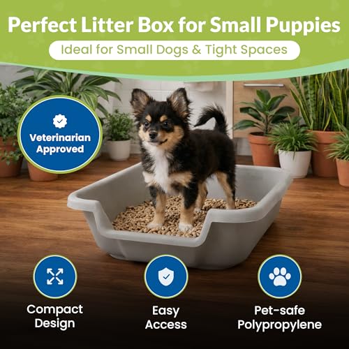 Arenero Gris Pequeño para Perros hasta 6 lbs miniatura 2