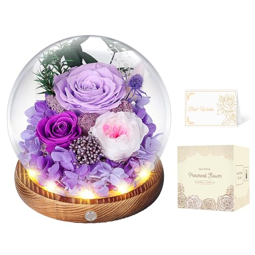 Rosa Eterna en Cúpula de Cristal con LED, Rosa Preservada por 5 Años, Flores Preservadas, Regalo para Mujer, Mamá, Novia o Esposa, Día de la Madre, San Valentín, Cumpleaños y Aniversario (Moradas)