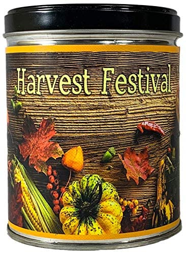 Our Own Candle Company Harvest Festival Scented Candle In 13 Ounce Tin #TOP8
