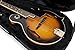 Gator Cases Lightweight Polyfoam Mandolin Case; Fit's Both 'A' and 'F' Body Styles (GL-MANDOLIN)