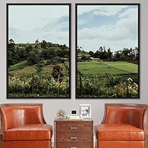 signwin 2 Piece Framed Canvas Wall Art Greenlands...