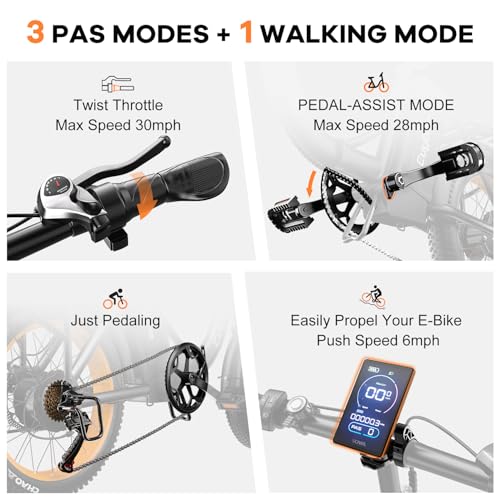 1000W Folding Electric Bike,48V 20AH Removable Battery E
