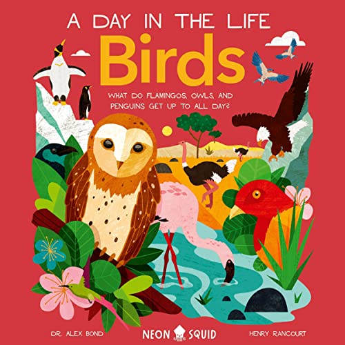A Day in the Life: Birds by Dr. Alex Bond, Neon Squid episode artwork