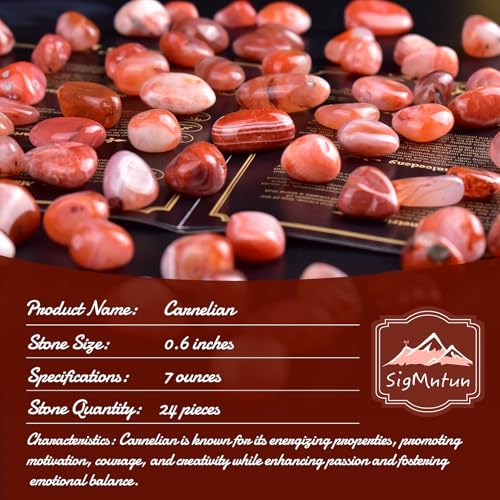 Image of Carnelian Healing Crystal Stone Set - 24 Pieces, 0.6 inch Natural & Polished Stones for Healing, Meditation, Reiki, Chakra, Crafting & Decoration