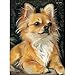 MXJSUA Diamond Painting Kit de peinture diamant 5D avec strass pour chien mignon 5D broderie diamant sur toile Kit de broderie au point de croix pour adultes pour la maison 30 x 40 cm