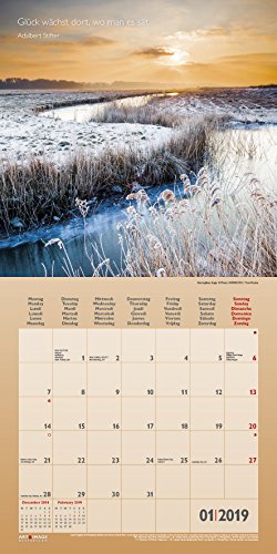 Träume 2019 Broschürenkalender
