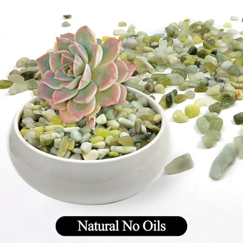 Image of 10LB Succulent Jade Pebbles for Landscaping, 3 /8 Inch Natural Decorative Polished Stones, River Rocks for Landscaping, Vase, Flowerpot Decoration, Indoor Decoration and Garden Decoration