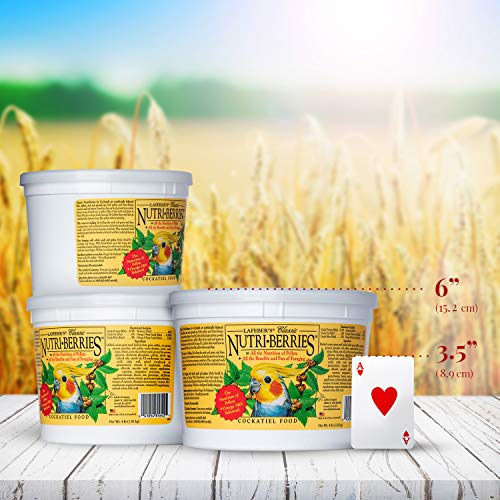 LAFEBER'S Classic Nutri-Berries Pet Bird Food, Made with Non-GMO and Human-Grade Ingredients, for Cockatiels, 4 lb - Image 6