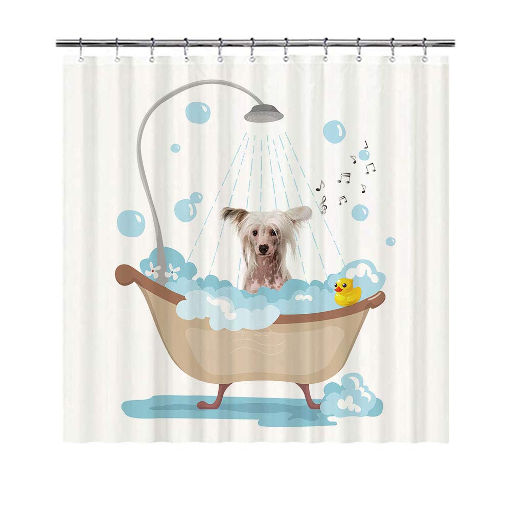 BAGEYOU Funny Dog Chinese Crested in Bath Shower Curtains Cute Puppy Taking A Shower Waterproof Polyester Fabric Bathroom Curtain 72 x 80 Inch, With 12 Hooks