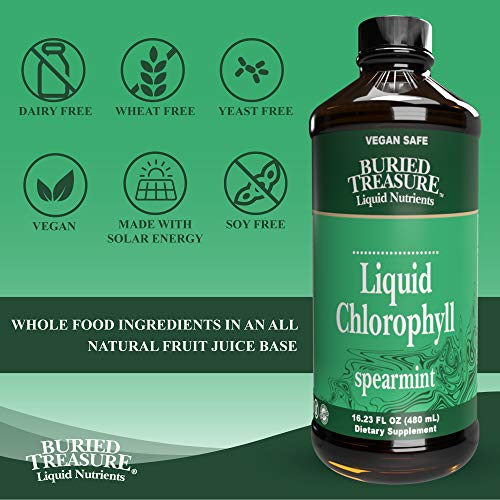 Buried Treasure Liquid Chlorophyll 100 mg Dietary Supplement, Energy Boost Immune Support Detox Intestinal Digestive Support Natural Body Deodorant Vegan Non-GMO Alcohol Free Spearmint Flavor,16 oz