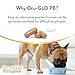 Ocu-GLO PB Vision Supplement for Medium & Large Dogs – Easy to Administer Powder Blend with Lutein, Omega-3 Fatty Acids, Grape Seed Extract & Antioxidants to Promote Eye Health, 90ct Powder Capsules