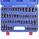 WORKPRO 60-piece Master Torx Bit Socket and External Torx Socket Set, 1/4', 3/8', 1/2' Drive Bits, Female E Sockets E4-E24, Star Socket Bits T6-T70, TT6-TT70, TP8-TP60, CR-V & S2 Alloy Steel