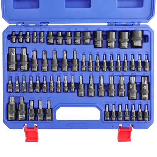 WORKPRO 60-piece Master Torx Bit Socket and External Torx Socket Set 1/4 3/8 1/2 Drive Bits Female E Sockets E4-E24 Star Socket Bits T6-T70 TT6-TT70 TP8-TP60 CR-V & S2 Alloy Steel