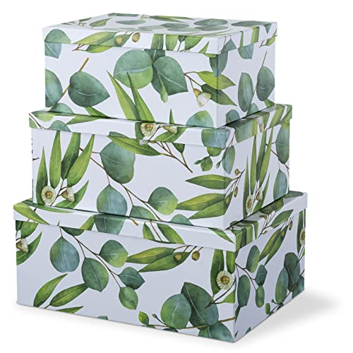 Soul & Lane Decorative Cardboard Boxes With Lids For Home Décor - Sprigs Of Green - Set Of 3: Large Nesting Gift Boxes, Pretty Paperboard Storage Boxes For Organizing, Memory Boxes For Keepsakes #TOP12