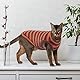 Haarloses Katzen-Shirt, Pullover, Kätzchen, T-Shirts, ärmellos, atmungsaktiv, gestreift, Katzenbekleidung, Kostüm, bequeme Baumwolle, dehnbarer Hunde-Pyjama, Jumpsuit für alle Jahreszeiten