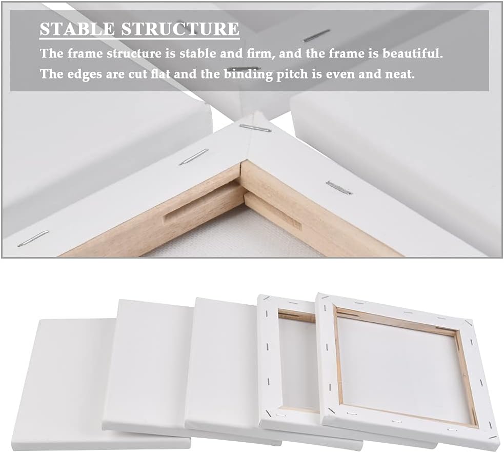 BUYGOO 12Pack 6x6 inch Stretched Canvas for Painting, Pre-Stretched Canvas White Blank Cotton Stretched Canvas for Artist Painting Acrylic Pouring Oil Painting Dry & Wet Art Media