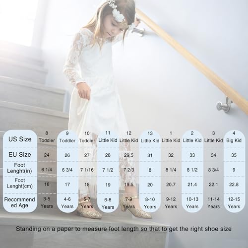 Image of THEE BRON Girls Low Heel Dress Shoes Mary Jane Party Wedding Flower Girl Pumps