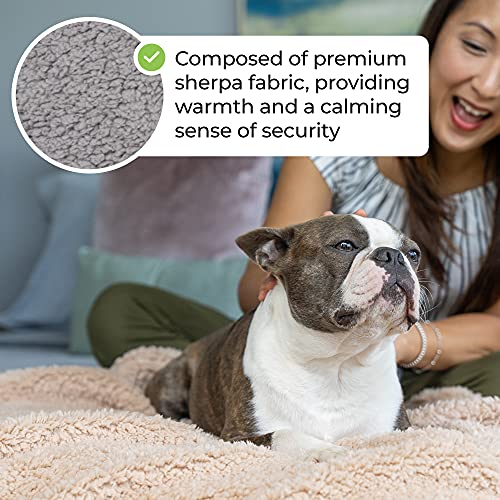 Alpha Paw - Cozy Calming Blanket - Anxiety & Stress Relief Blanket for Pets - Extra Soft Polyester Sherpa Fabric… - Image 3