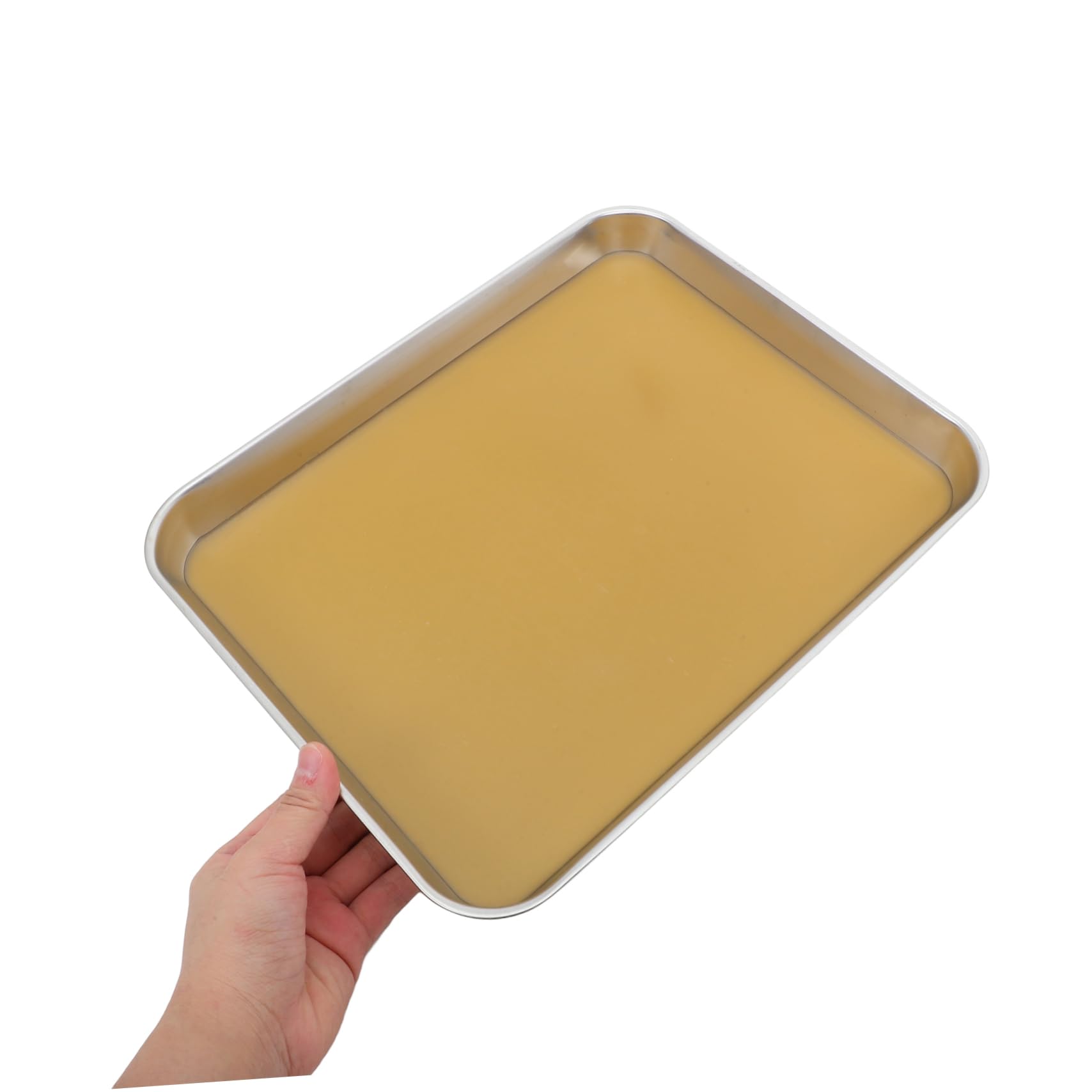 Cabilock Plateau De Dissection Métallique Pour Laboratoire Plateau Avec Cire Outil De Laboratoire De Dissection Métal