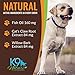 K9 Nature Supplements: Nature’s Aches Away - 55 Soft Chews for Dogs - Advanced Formula for Pet Mobility & Joint Pain Support - Natural, Herbal Treats - with Willow Bark Extract, Cat’s Claw & Fish Oil