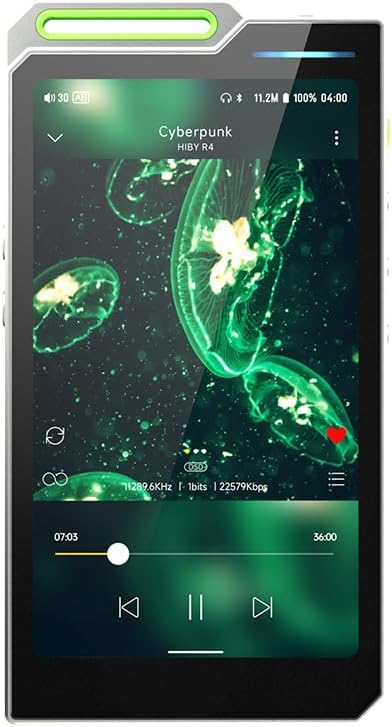 Amazon.com: HiBy R4 Next-Gen Digital Audio Player with Spotify ...