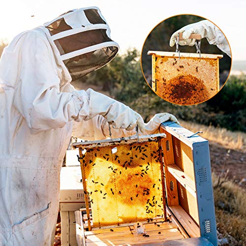 Hive Rahmen Imker Werkzeug Bienenwaben Werkzeug Imkerei Zange für Imker zum Schutz vor Bienenstich – Bild 3