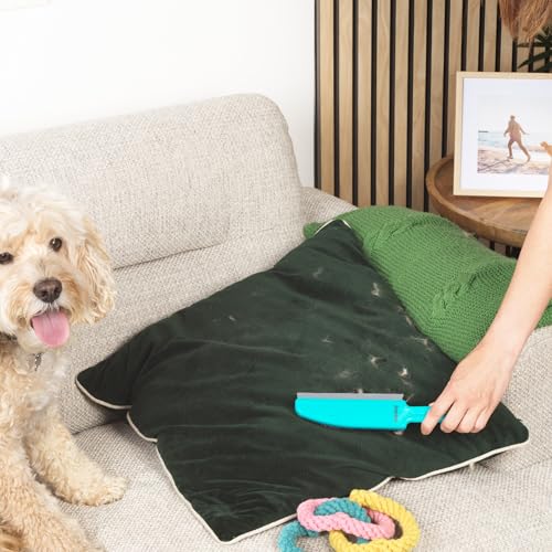 Beldray LA034207UFFEU7 Antibac Pet Plus Polsterbürste – Dog Cat Haarfusselentferner Pinsel, Gummiborsten und Abstreifer Lippenrand, für Teppiche, Möbel, Haustierbetten, tragbare Teppichkehrmaschine