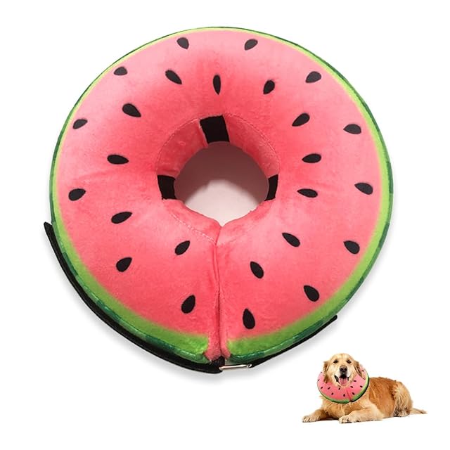 HMCEY Collar de Recuperación Inflable para Perros,Collar Isabelino Inflable,Collarin Perros para No…