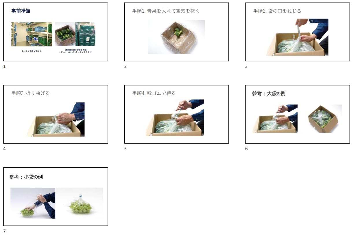 Amazon.co.jp: Xtend® エクステンド 鮮度保持袋 メロン用815-CN51(8kg