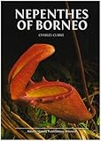 nepenthes rajah kaufen  Nepenthes of Borneo