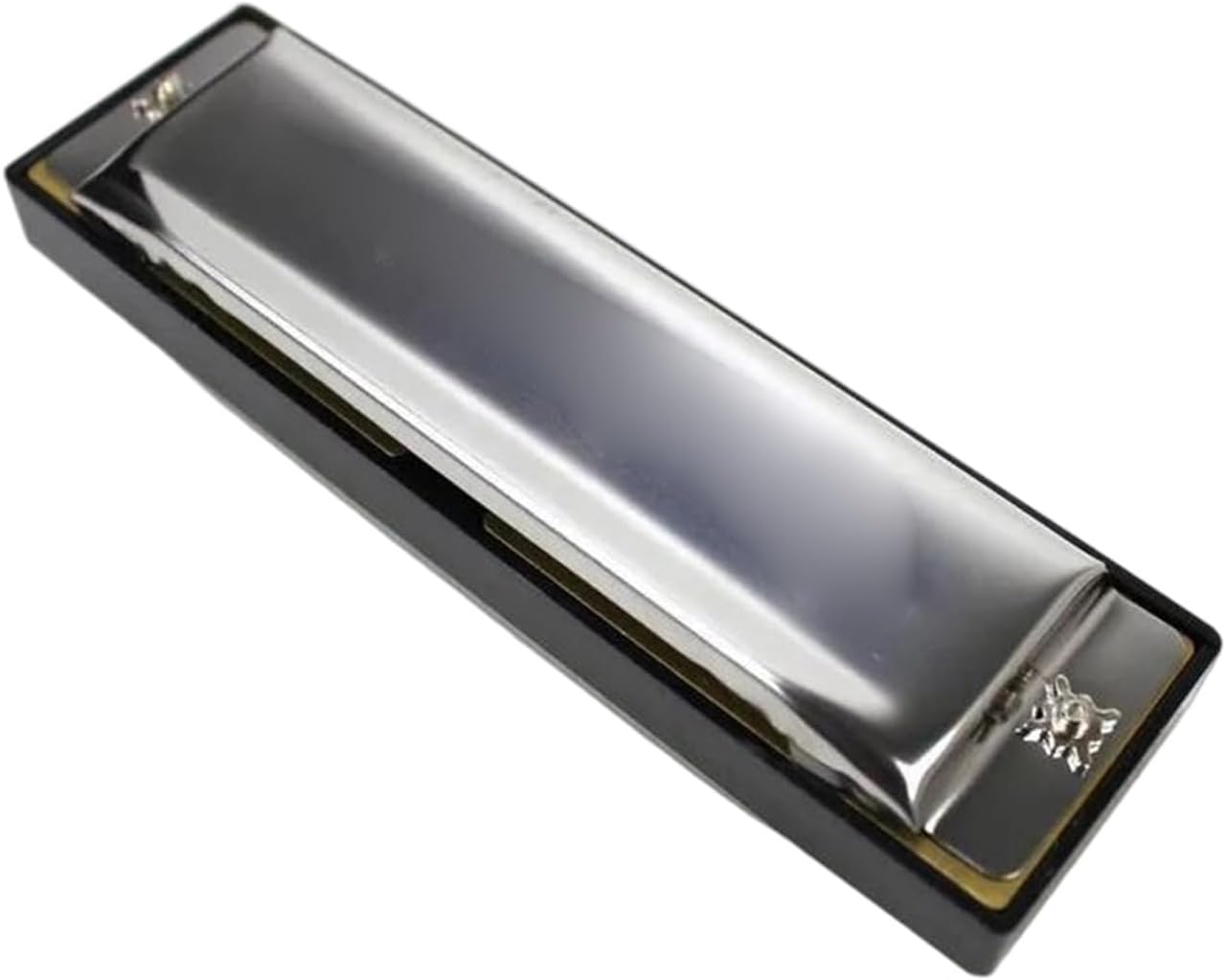 バンドハーモニカ 音楽愛好家のためのCキーの10穴全音階ハーモニカ