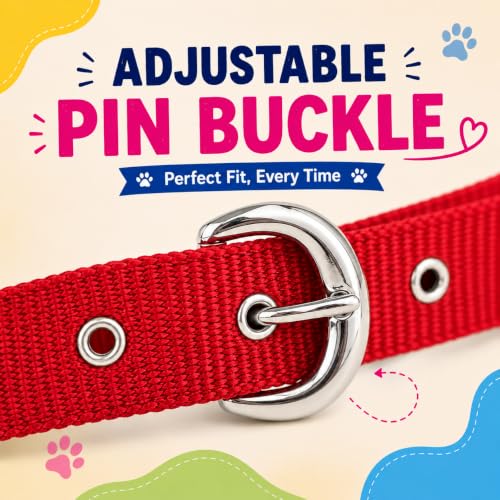Image of Nylon Dog Neck Belt Collar Combo Set, Adjustable Size, Durable Material, Comfy Soft Fur Padded for 35+ Kilograms Dogs (XL, Blue, Red, Pack of 2)
