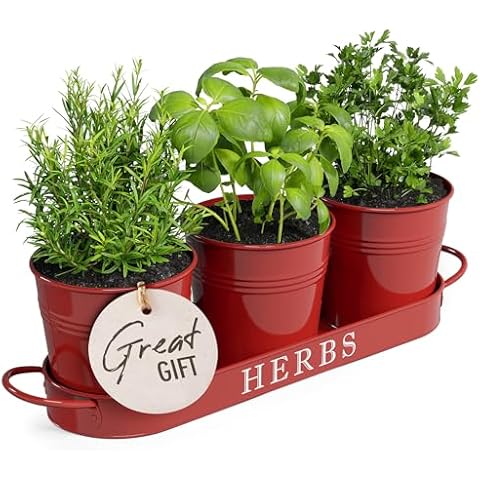 Barnyard Designs Herb Planter Set Cover