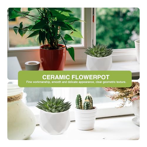 Pots à fleurs en céramique blanche Yardenfun lot de 4 pour succulentes - 6