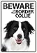Produktbild Magnet & Steel Beware of The Border Collie - Flexi Portrait